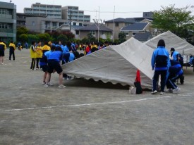 テントの組み立て テントの組み立て