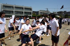 綱引き 綱引き