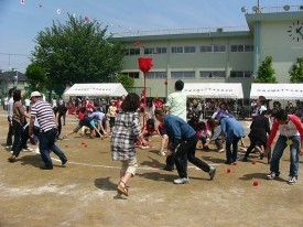 スポーツフェスタ スポーツフェスタ