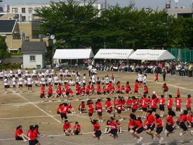 スポーツフェスタ スポーツフェスタ