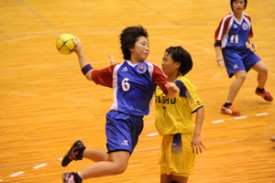 ハンドボール部 インターハイ ハンドボール部 インターハイ