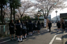 桜の下で記念撮影 桜の下で記念撮影