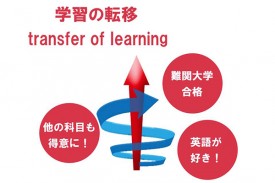学習の転移(transfer of learning)