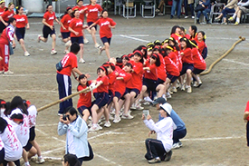 綱引き