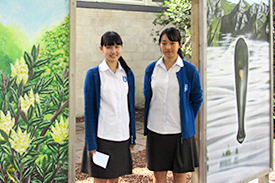 Havelock North High School